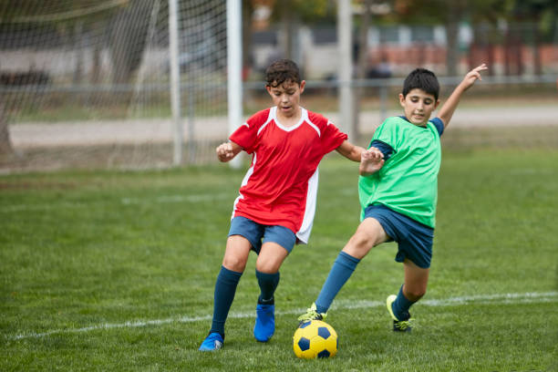 他们偏向于 他们偏向于